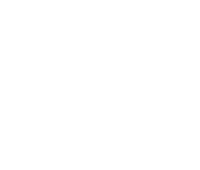 blue Seas International